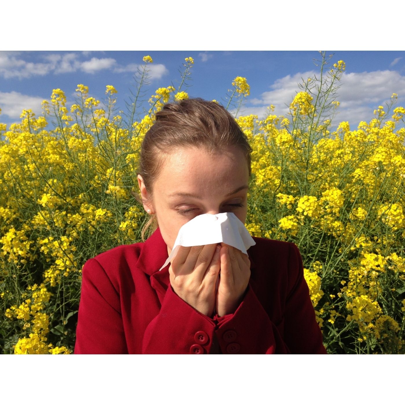 Read more about the article Hayfever